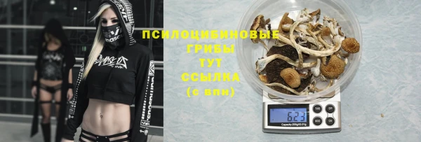 молекула духа Нея