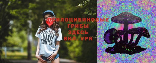 молекула духа Нея